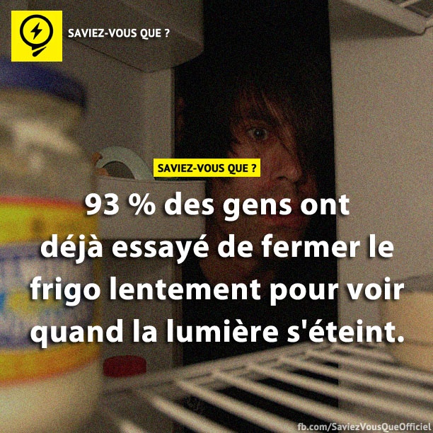 93% des gens ont déjà essayé de fermer le frigo lentement pour voir quand la lumière s&#039;éteint.