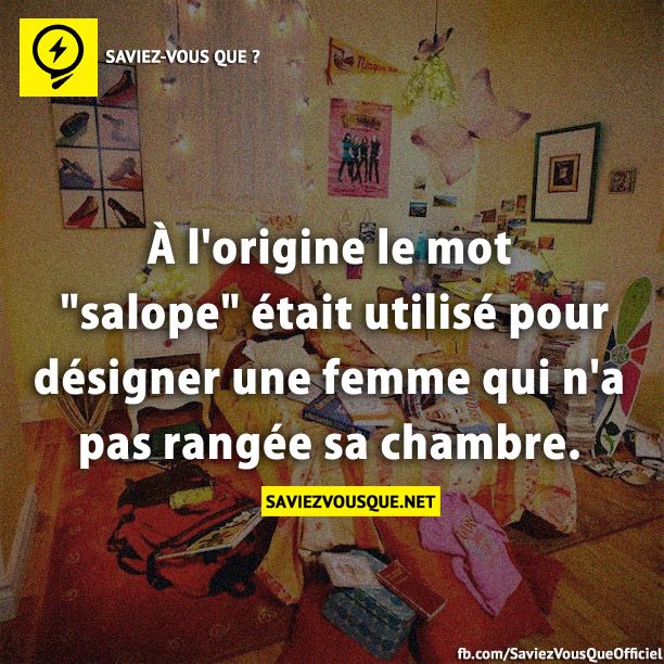 À l&#039;origine le mot &quot;salope&quot; était utilisé pour désigner une femme qui n&#039;a pas rangée sa chambre.