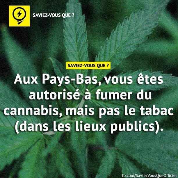 Aux Pays-Bas, vous êtes autorisé à fumer du cannabis, mais pas le tabac (dans les liens publics).