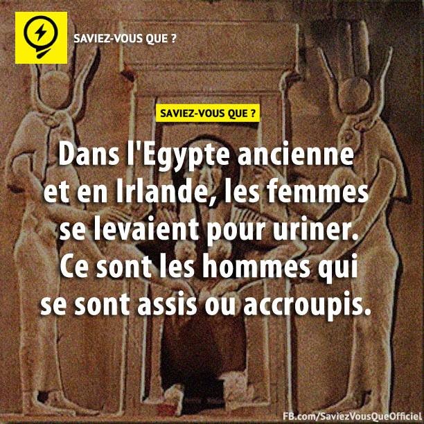 Dans l&#039;Egypte ancienne et en Irlande, les femmes se levaient pour uriner. Ce sont les hommes qui se sont assis ou accroupis.