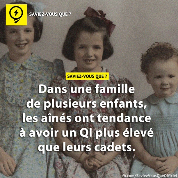 Dans une famille de plusieurs enfants, les aînés ont tendance à avoir un QI plus élevé que leurs cadets.