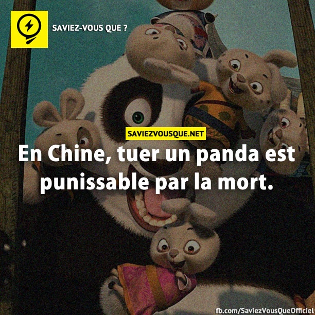 En Chine, tuer un panda est punissable par la mort.