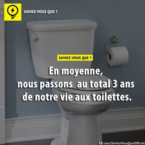 En moyenne, nous passons au total 3 ans de notre vie aux toilettes.