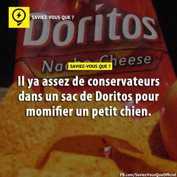 Il y a assez de conservateurs dans un sac de Doritos pour momifier un petit chien.