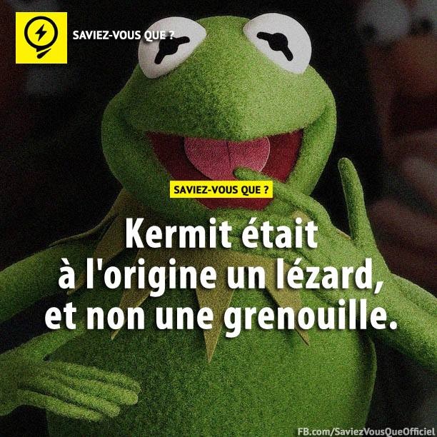 Kermit était à l&#039;origine un lézard, et non une grenouille.