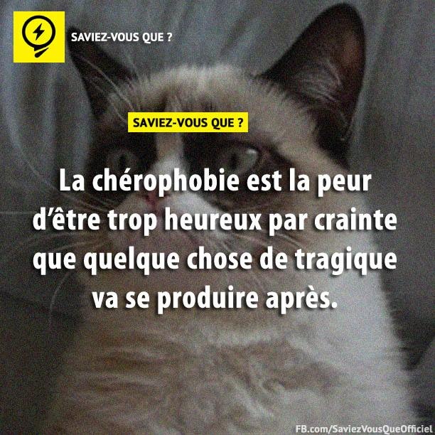 La chérophobie est la peur d&#039;être trop heureux par crainte que quelque chose de tragique va se produire après.