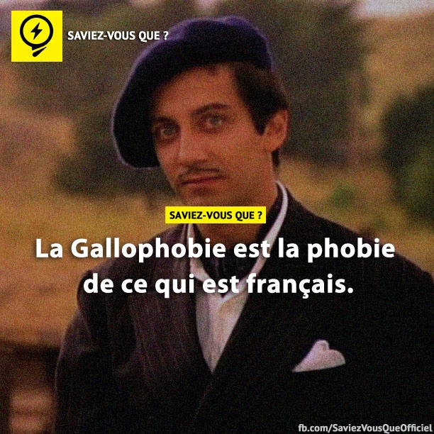 La Gallophobie est la phobie de ce qui est français.