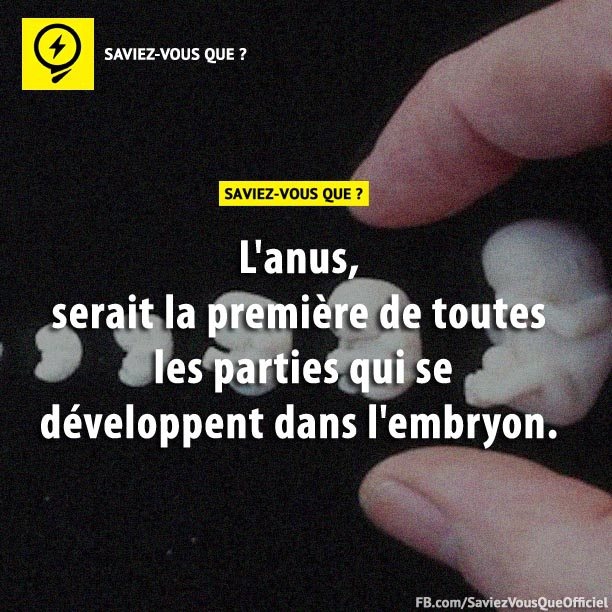 L&#039;anus, serait la première de toutes les parties qui se développent dans l&#039;embryon.