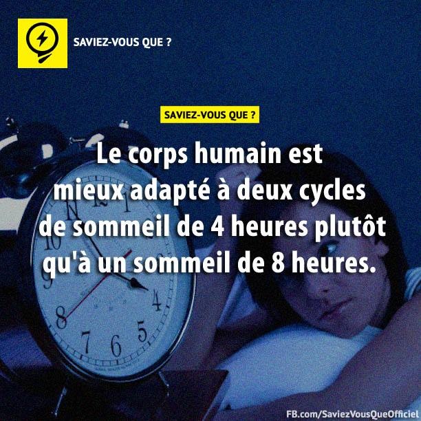 Le corps humain est mieux adapté à deux cycles de sommeil de 4 heures plutôt qu'à un sommeil de 8 heures.