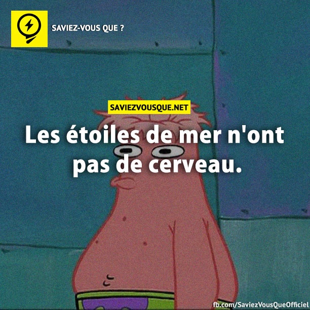 Les étoiles de mer n&#039;ont pas de cerveau.