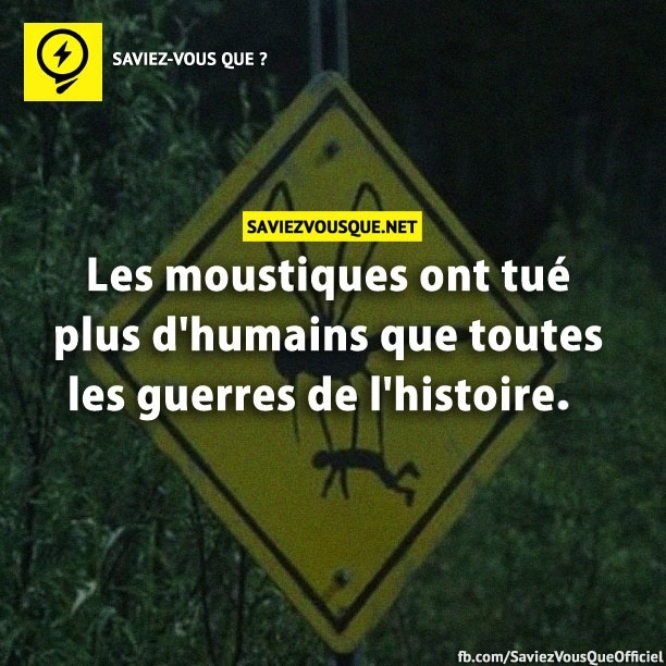 Les moustiques ont tué plus d&#039;humains que toutes les guerres de l&#039;histoire.