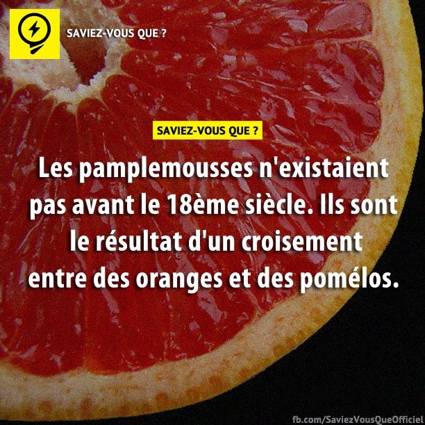 Les pamplemousses n&#039;existaient pas avant le 18ème siècle. Ils sont le résultat d&#039;un croisement entre des oranges et des pomélos.