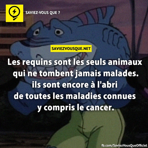 Les requins sont les seuls animaux qui ne tombent jamais malades. ils sont encore à l&#039;abri de toutes les maladies connues y compris le cancer.