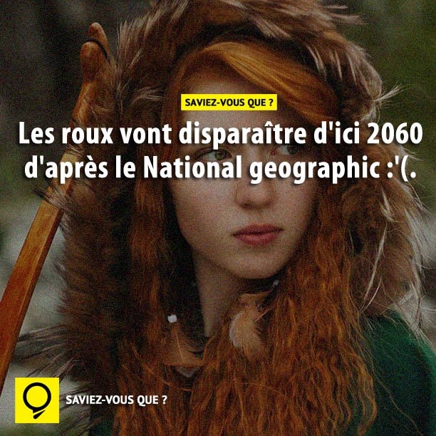 Les roux vont disparaître d&#039;ici 2060 d&#039;après le National Geographic :&#039;(
