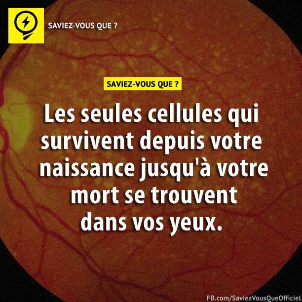 Les seules cellules qui survivent depuis votre naissance jusqu&#039;à votre mort se trouvent dans vos yeux.