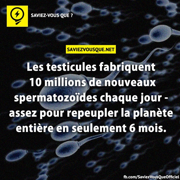 Les testicules fabriquent 10 millions de nouveaux spermatozoïdes chaque jour - assez pour repeupler la planète entière en seulement 6 mois.