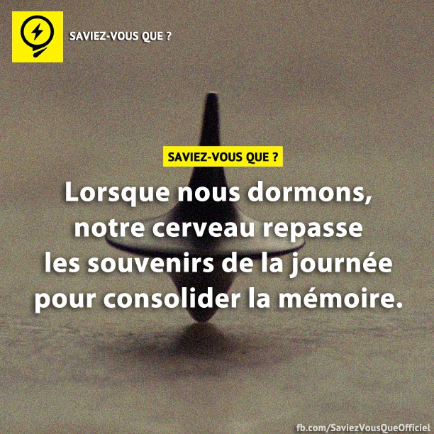 Lorsque nous dormons, notre cerveau repasse les souvenirs de la journée pour consolider la mémoire.