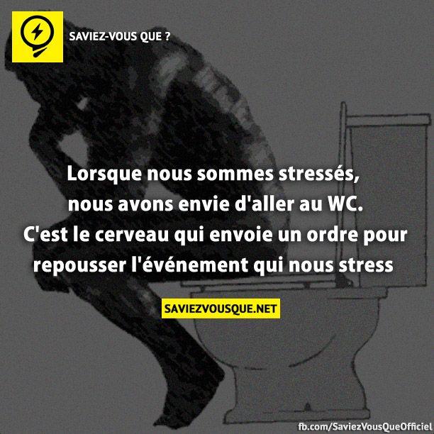 Lorsque nous sommes stressés, nous avons envie d&#039;aller au WC. C&#039;est le cerveau qui envoie un ordre pour repousser l&#039;événement qui nous stress
