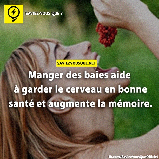 Manger des baies aide à garder le cerveau en bonne santé et augmente la mémoire.