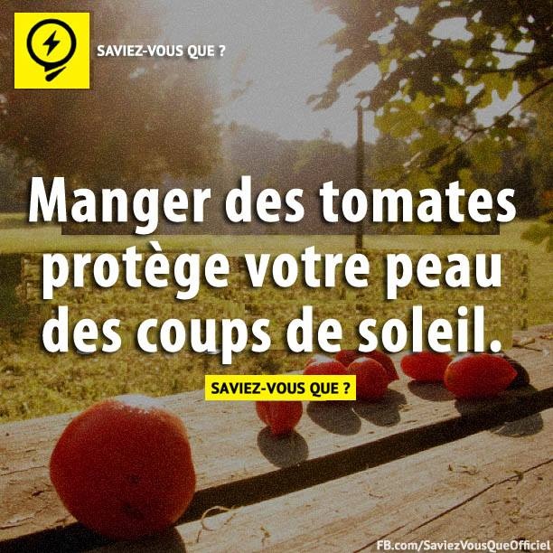 Manger des tomates protège votre peau des coups de soleil.