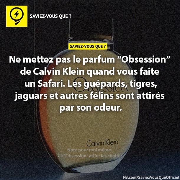 Ne mettez pas le parfum &quot;Obsession&quot; de Calvin Klein quand vous faite un Safari. les guépards, tigres, jaguars et autres félins sont attitrés par son odeur.