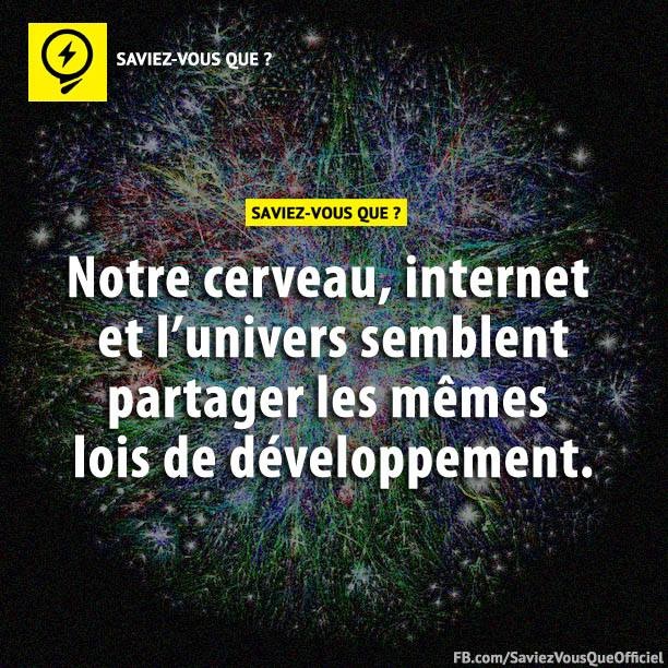 Notre cerveau, internet et l&#039;univers semblent partager les mêmes lois de développement.