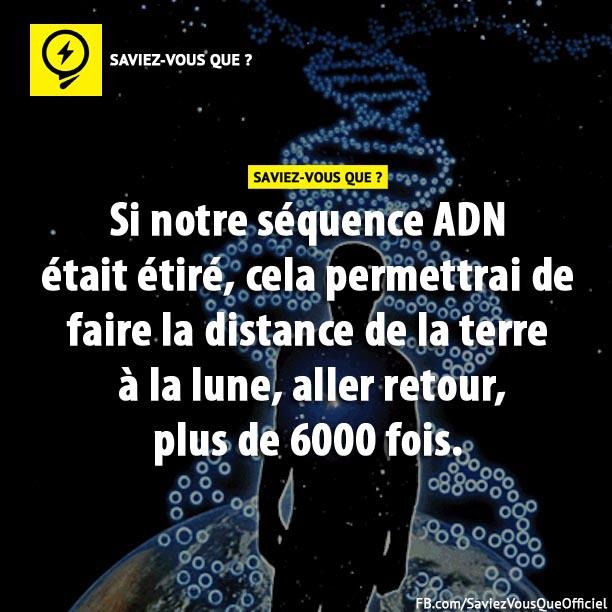 Si notre séquence ADN était étiré, cela permettrai de faire la distance de la terre à la lune, aller retour, plus de 6000 fois.