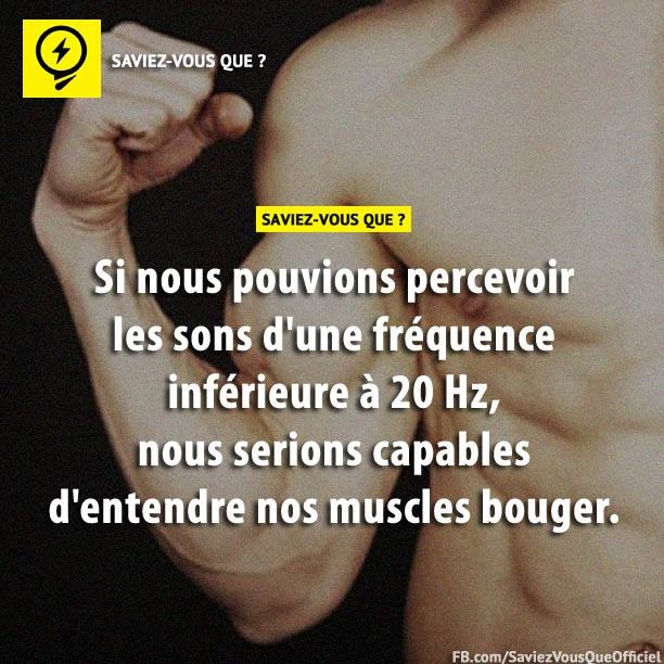 Si nous pouvions percevoir les sons d&#039;une fréquence inférieure à 20 Hz, nous serions capables d&#039;entendre nos muscles bouger.