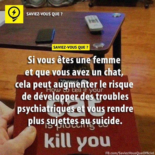 Si vous êtes une femme et que vous avez un chat, cela peut augmenter le risque de développer des troubles psychiatriques et vous rendre plus sujettes au suicide.