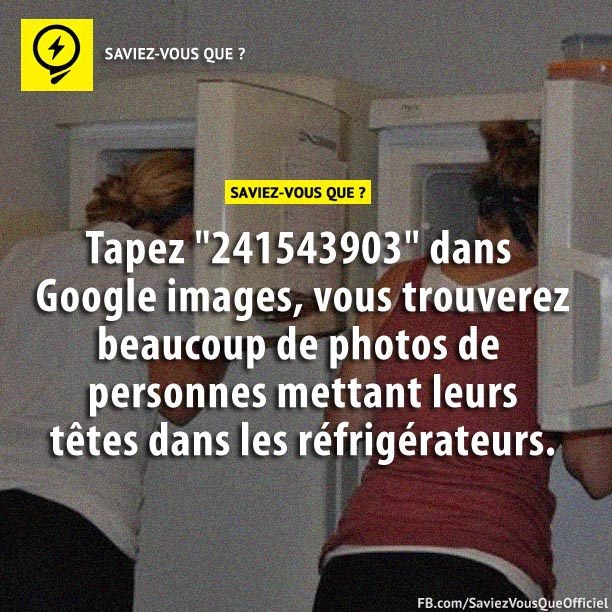 Tapez &quot;241543903&quot; dans Google images, vous trouverez beaucoup de photos de personnes mettant leurs têtes dans les réfrigérateurs.