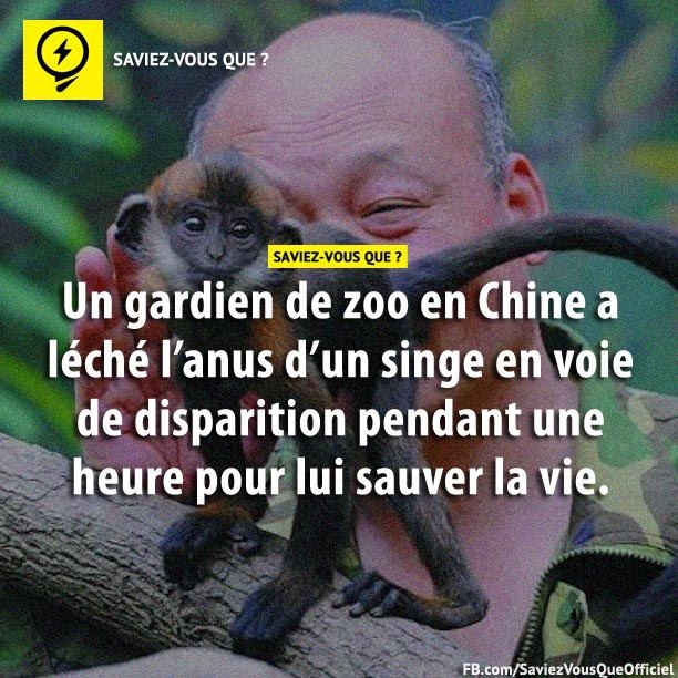 Un gardien de zoo en Chine a léché l&#039;anus d&#039;un singe en voie de disparition pendant une heure pour lui sauver la vie.
