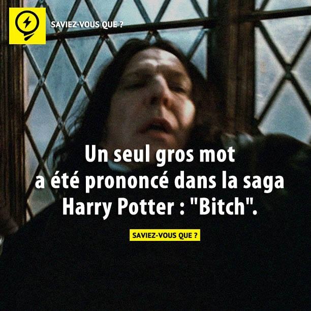 Un seul gros mot a été prononcé dans la saga Harry Potter : &quot;bitch&quot;.