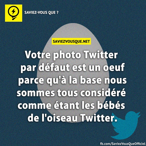 Votre photo Twitter par défaut est un oeuf parce qu&#039;à la base nous sommes tous considéré comme étant les bébés de l&#039;oiseau Twitter.