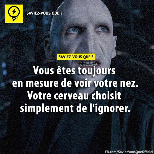 Vous êtes toujours en mesure de voir votre nez. Votre cerveau choisit simplement de l&#039;ignorer.