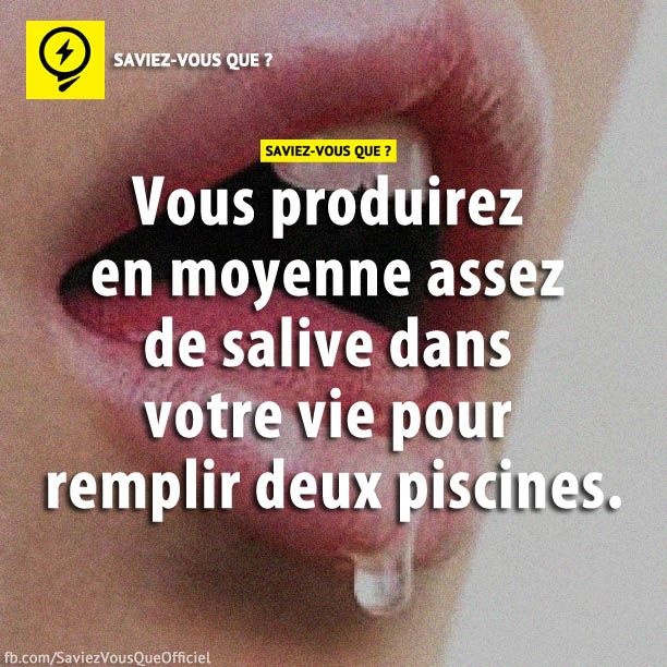 Vous produirez en moyenne assez de salive dans votre vie pour remplir deux piscines.