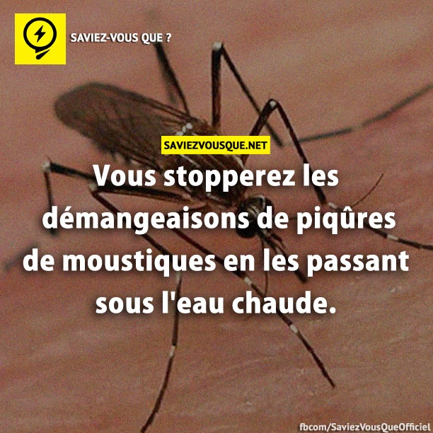 Vous stopperez les démangeaisons de piqûres de moustiques en les passant sous l&#039;eau chaude.