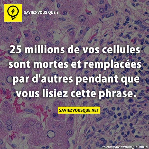 25 millions de vos cellules sont mortes et remplacées par d&#039;autres pendant que vous lisiez cette phrase.