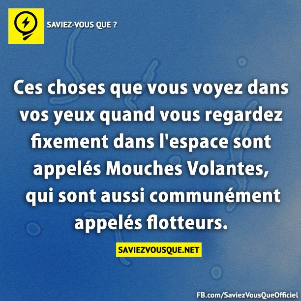 Ces choses que vous voyez dans vos yeux quand vous regardez fixement dans l'espace sont appelés Mouches Volantes, qui sont aussi communément appelés flotteurs.