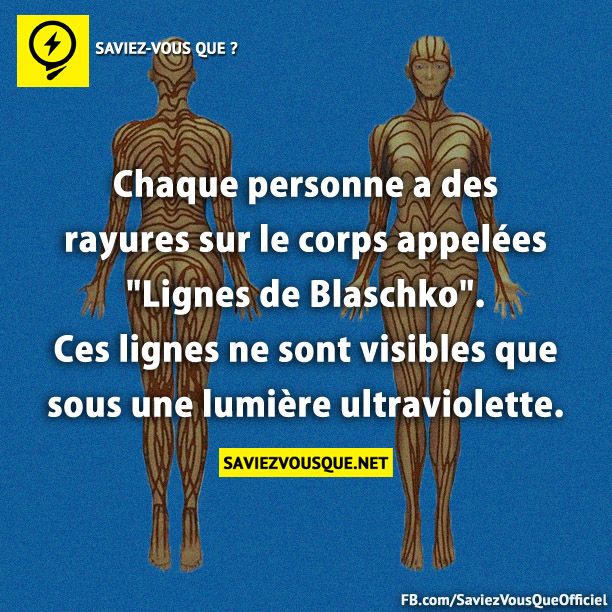Chaque personne a des rayures sur le corps appelées &quot;Lignes de Blaschko&quot;. Ces lignes ne sont visibles que sous une lumière ultraviolette.