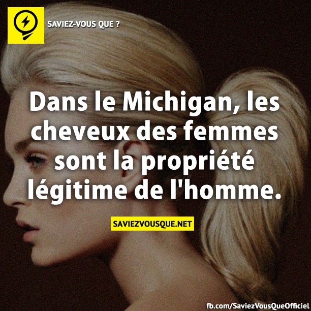 Dans le Michigan, les cheveux des femmes sont la propriété légitime de l&#039;homme.