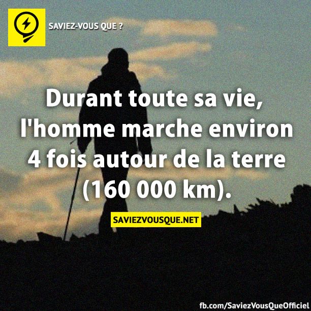 Durant toute sa vie, l&#039;homme marche environ 4 fois autour de la terre (160 000 km).