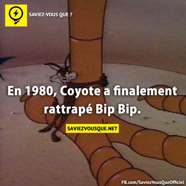 En 1980, Coyote a finalement rattrapé Bip Bip.