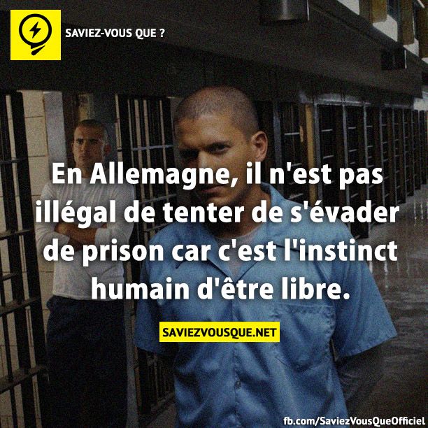 En Allemagne, il n&#039;est pas illégal de tenter de s&#039;évader de prison car c&#039;est l&#039;instinct humain d&#039;être libre.
