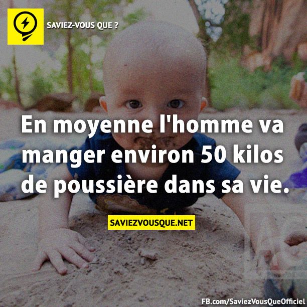 En Moyenne L Homme Va Manger Environ Kilos De Poussi Re Dans Sa Vie