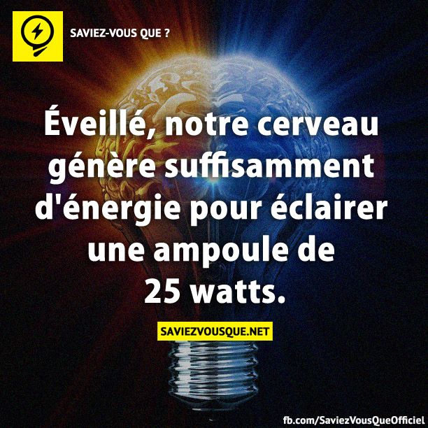 Éveillé, notre cerveau génère suffisamment d&#039;énergie pour éclairer une ampoule de 25 watts.