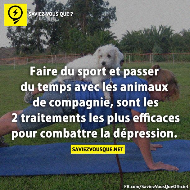 Faire du sport et passer du temps avec les animaux de compagnie, sont les 2 traitements les plus efficaces pour combattre la dépression.
