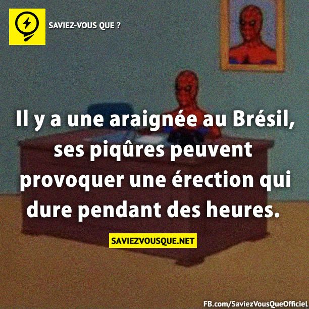 Il y a une araignée au Brésil, ses piqûres peuvent provoquer une érection qui dure pendant des heures.