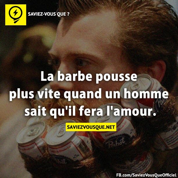 La barbe pousse plus vite quand un homme sait qu'il fera l'amour.