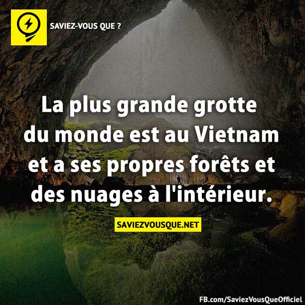 La plus grande grotte du monde est au Vietnam et a ses propres forêts et des nuages à l&#039;intérieur.