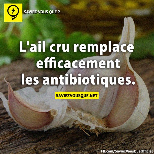 L&#039;ail cru remplace efficacement les antibiotiques.